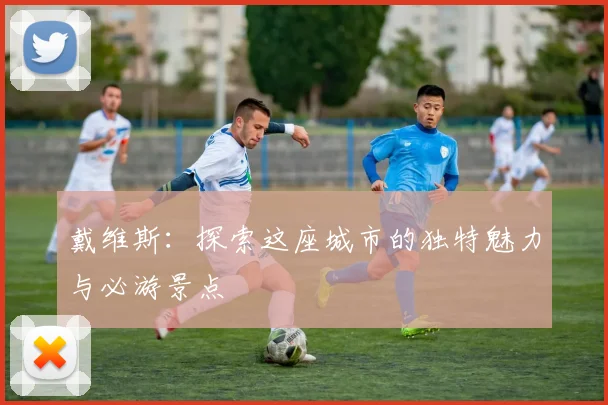 戴维斯：探索这座城市的独特魅力与必游景点